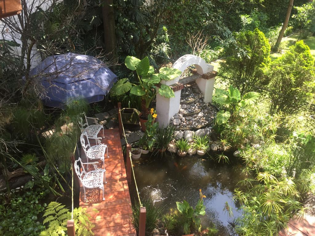 Villas Sol Y Luna Coyoacan Città del Messico Esterno foto